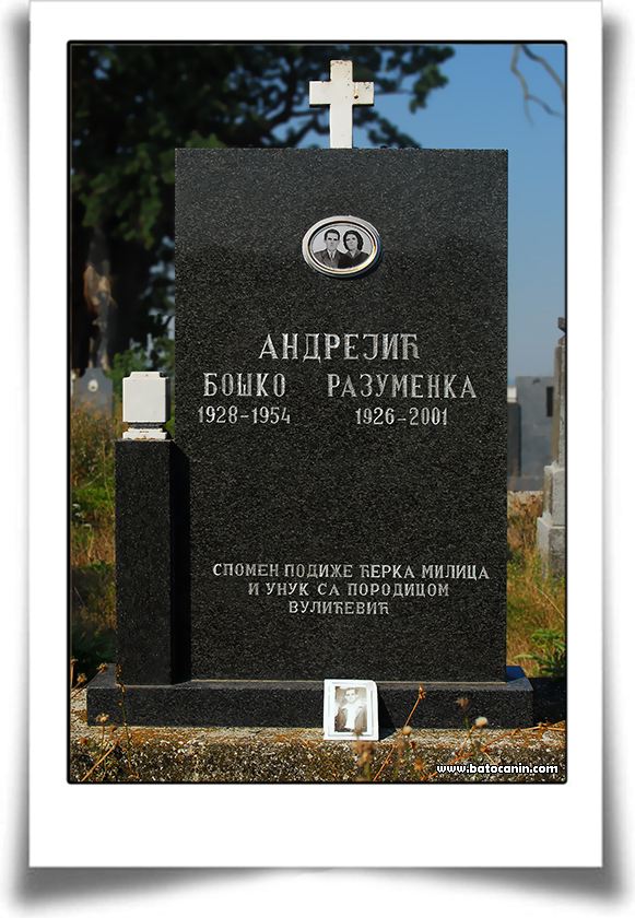 0333 Porodična grobnica Andrejić Razumenke i Boška