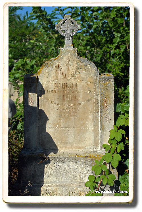 0232 Nadgrobni spomenik Miletić Živana na seoskom groblju u Lopašu
