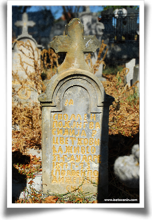 0304 Nadgrobni spomenik Cvatković Vasilija na seoskom groblju u Lopašu