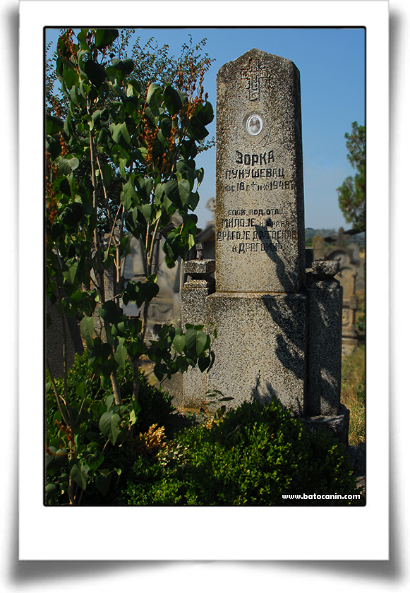 Nadgrobni spomenik na seoskom groblju u Donjem Ribniku