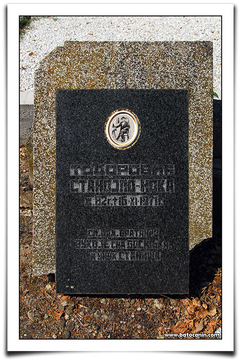 0458 Nadgrobni spomenik Todorović Stanojla na seoskom groblju u Donjem Ribniku