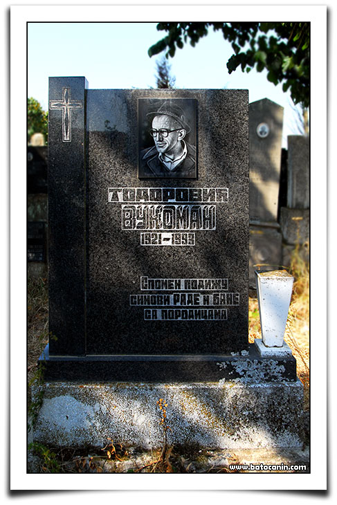 0471 Nadgrobni spomenik Todorović Vukomana na seoskom groblju u Donjem Ribniku