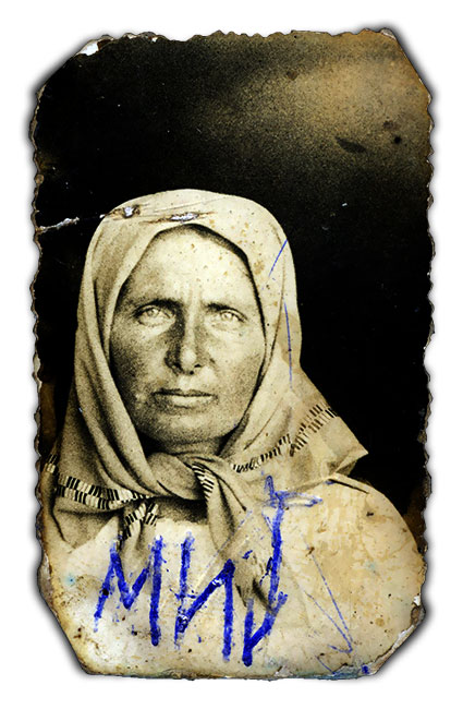 1843 Golubović Mileva